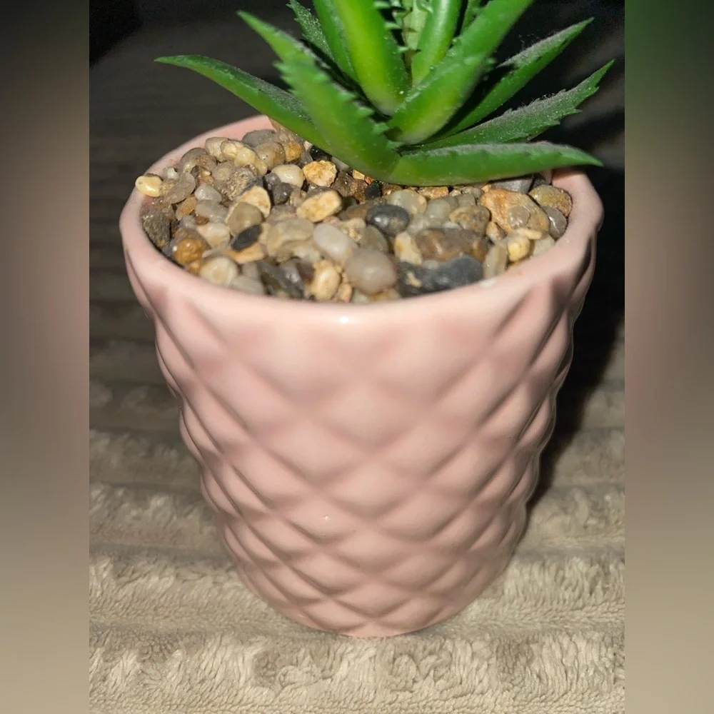 🌿 Chic Mini Faux Succulent in Blush Pink Pot 🌸